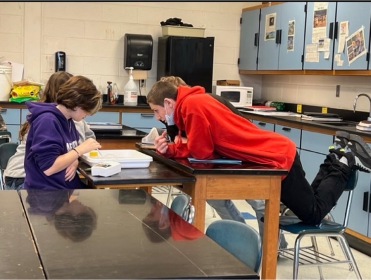 Becky Crabtree’s Class