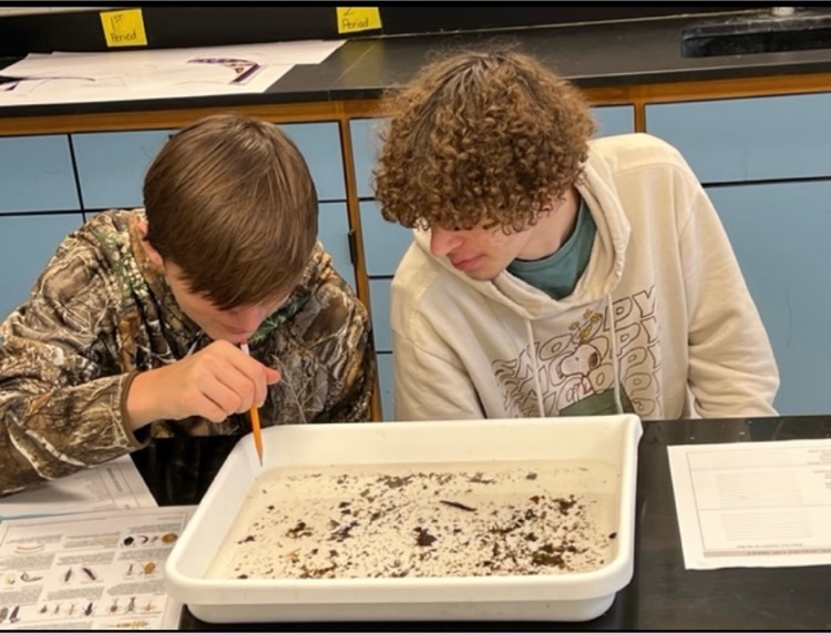 Becky Crabtree’s Class