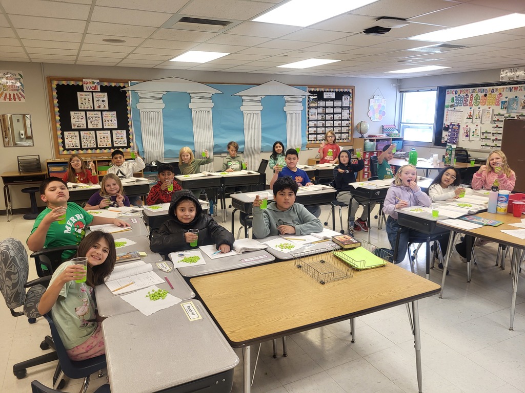 Mrs. Knoops 3rd Grade