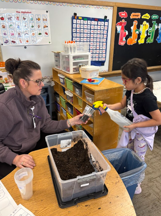Ms. Ashling's Kindergarten Class