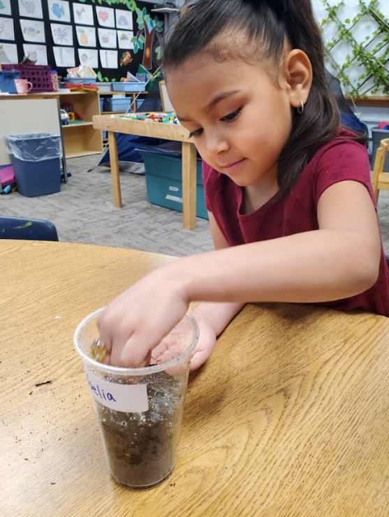 Ms. Ashlings Kindergarten Class