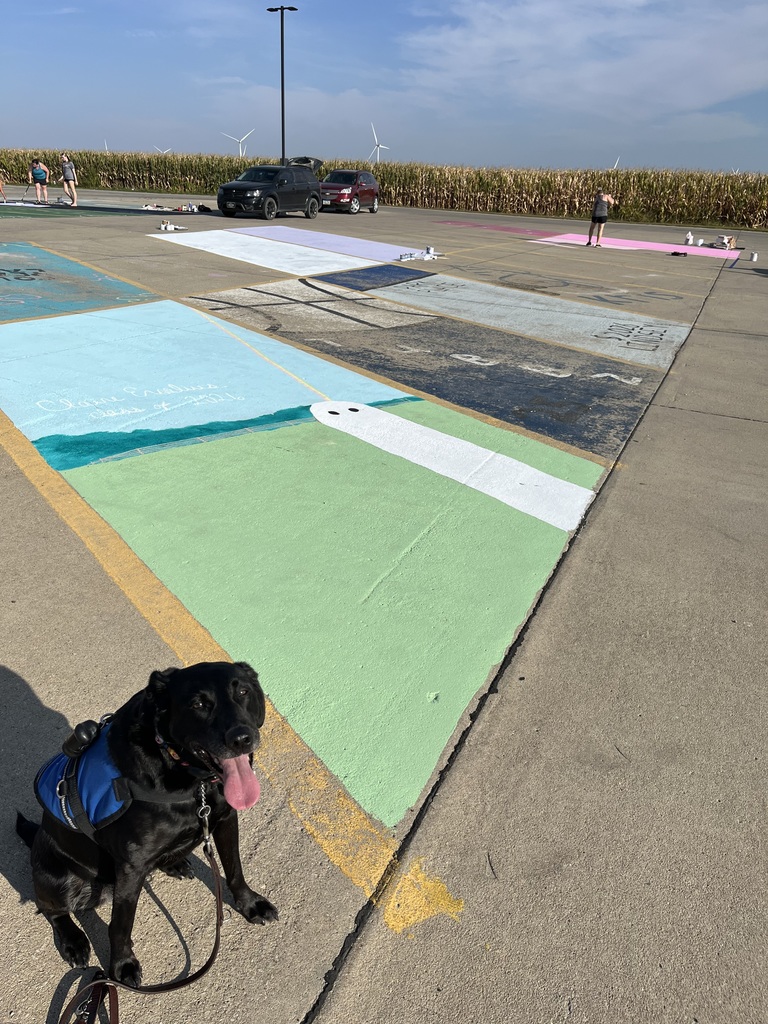 Students and staff worked hard this past weekend decorating their parking spots in the lots of the school! This event is hosted by the NHS! 🎨🖌️