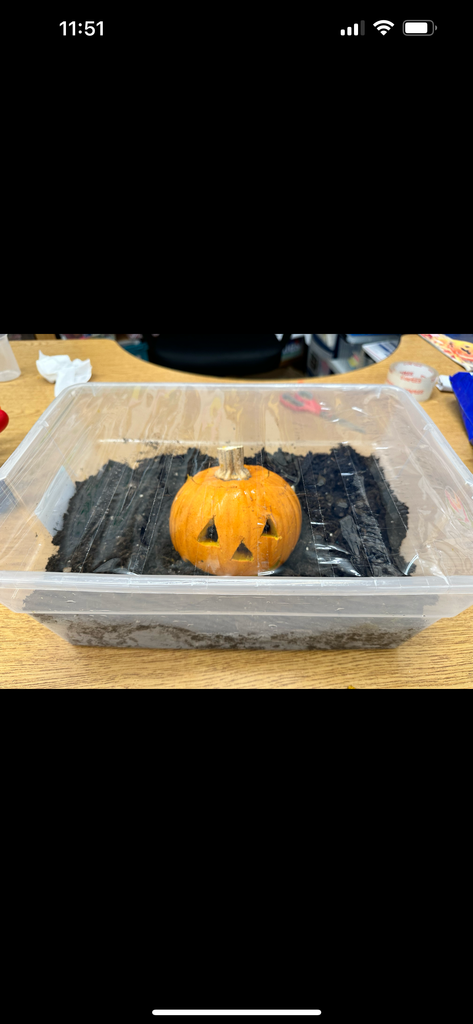 Hello Pumpkin Jack!!