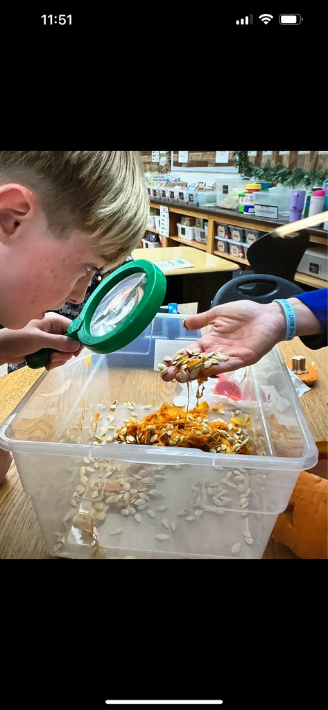 Taking a look at all the seeds and pumpkin goo!!!!