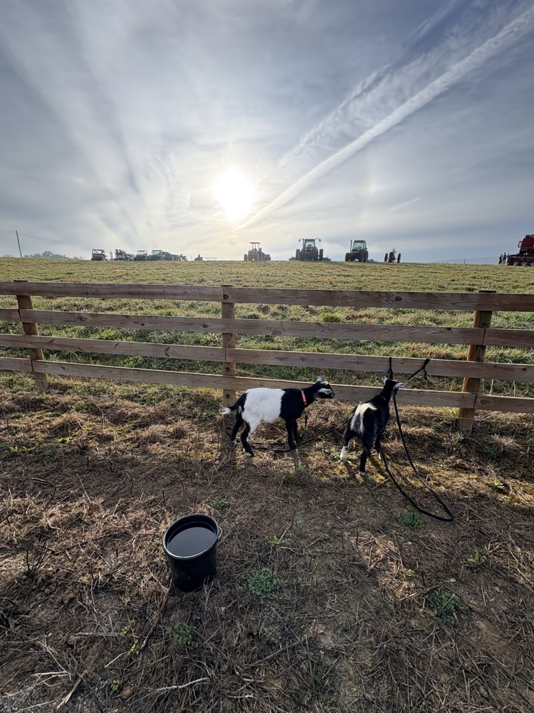 AG DAY