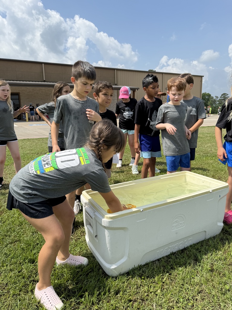 Field Day