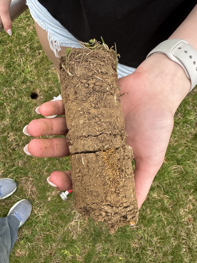 Turf Core sample