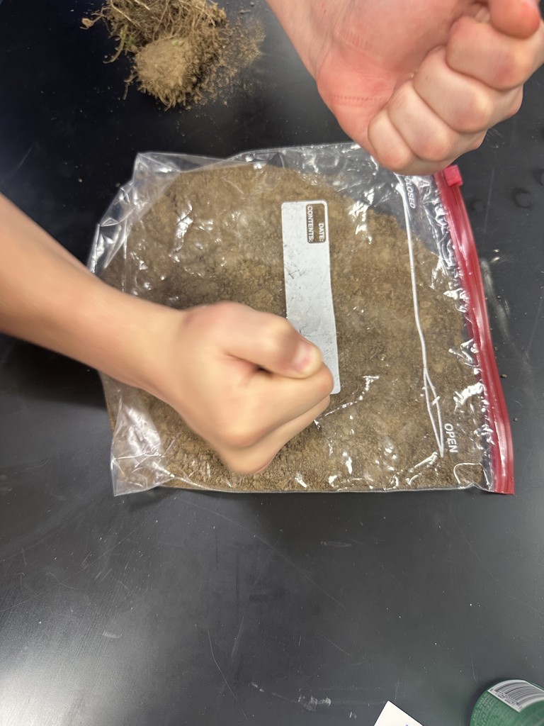 Student experimenting with soil core