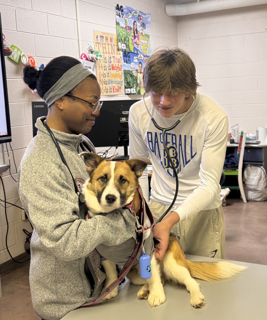 BMS student and Vet med student listening to a dog's heart