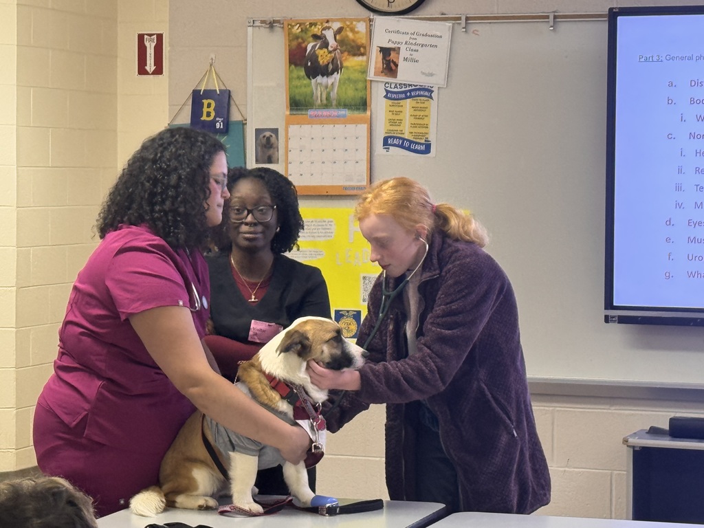 BMS student and Vet med student listening to a dog's heart