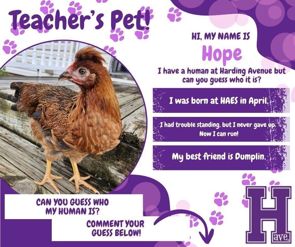 Hope the Chicken