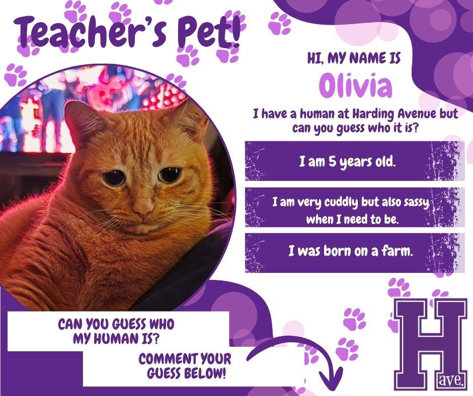 Teacher's Pet - Olivia
