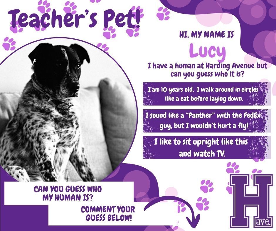 Teacher's Pet - Lucy