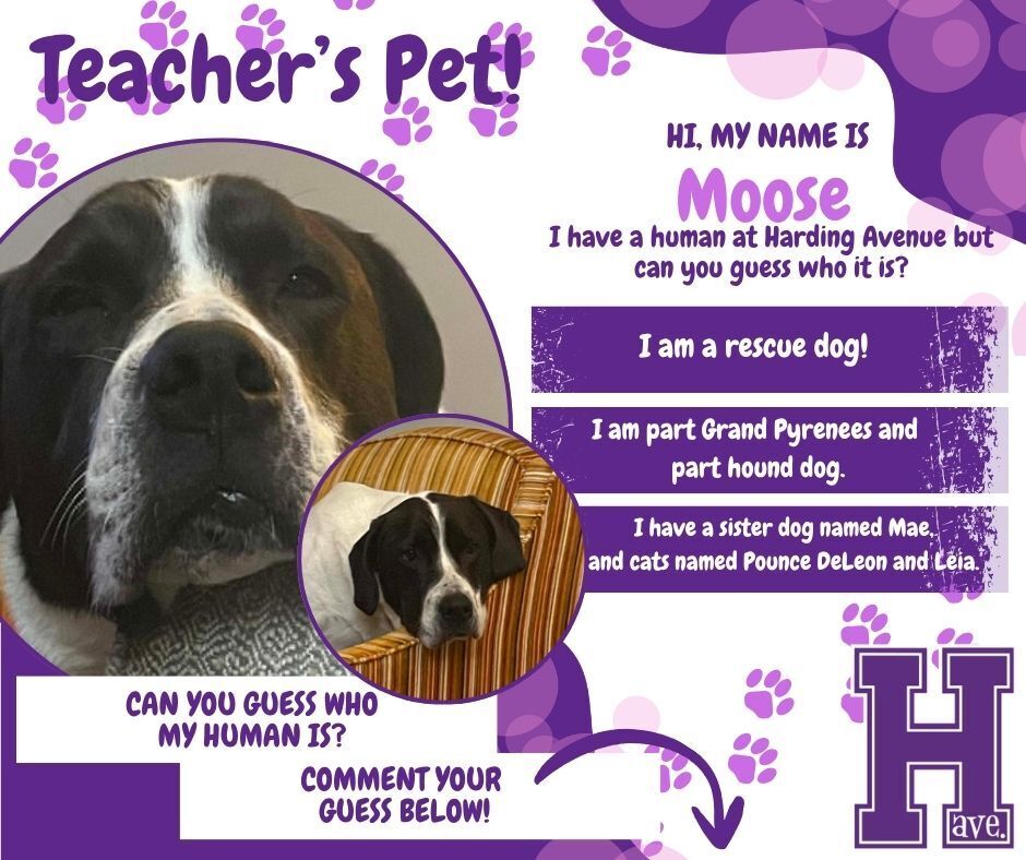 Teacher's Pet - Moose
