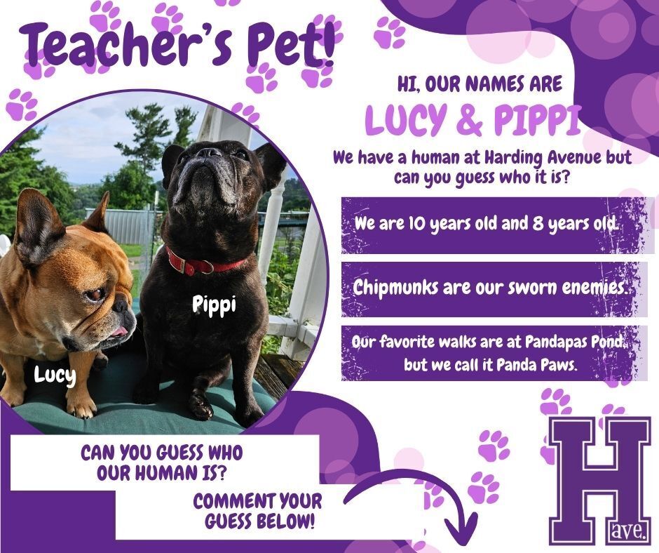 Teacher's Pet - Lucy & Pippi