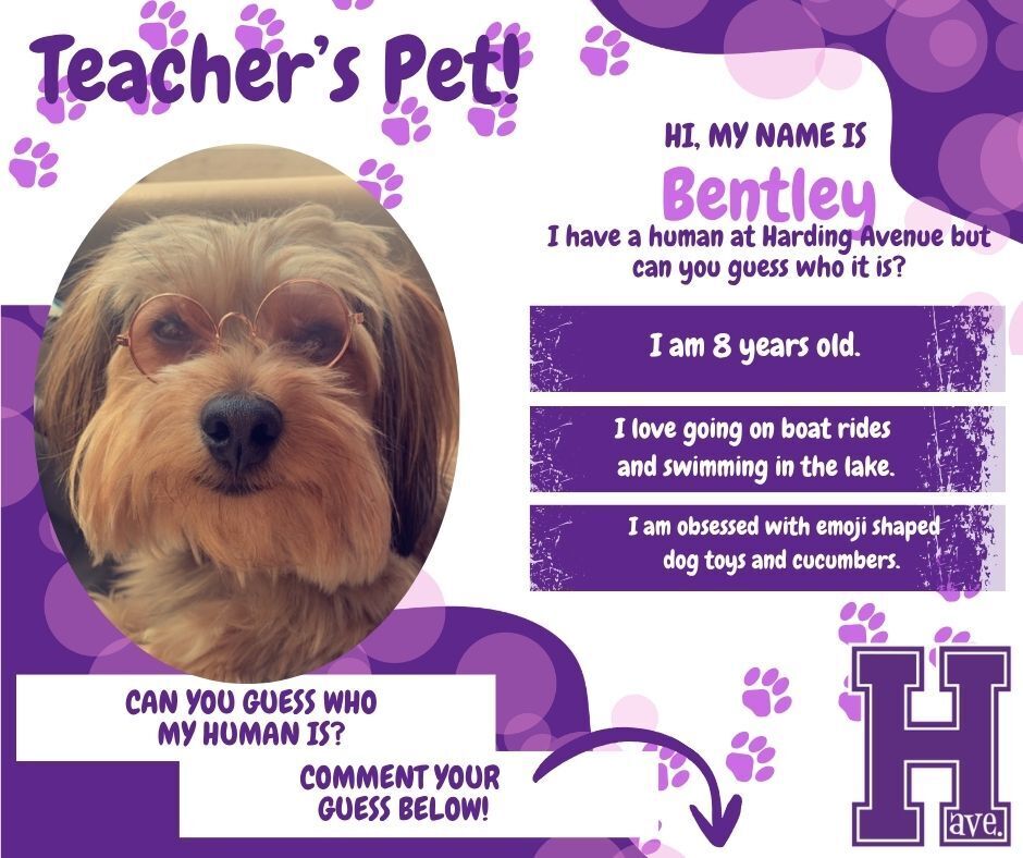 Teachers Pet - Bentley