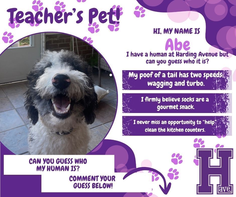 Teachers Pet - Abe