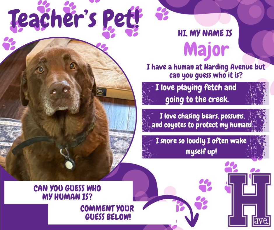 Teacher's Pet - Major