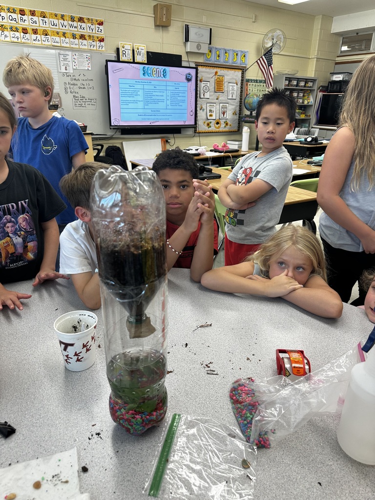 3rd Grade Ecosystem