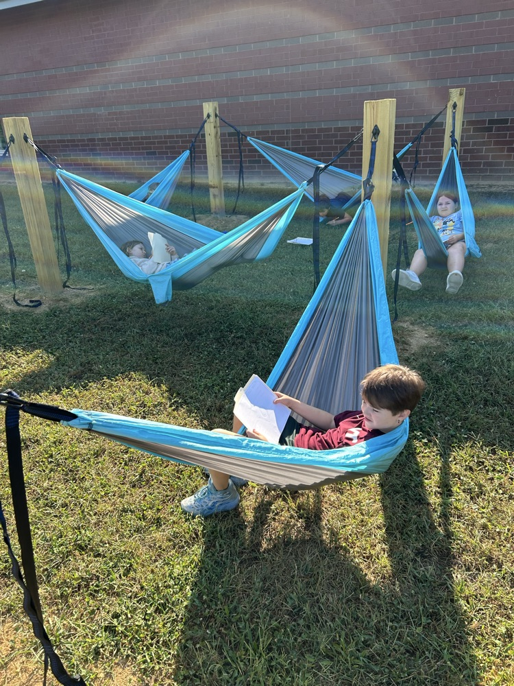 A long row of students relaxing and reading in blue hammocks attached to wooden posts.
