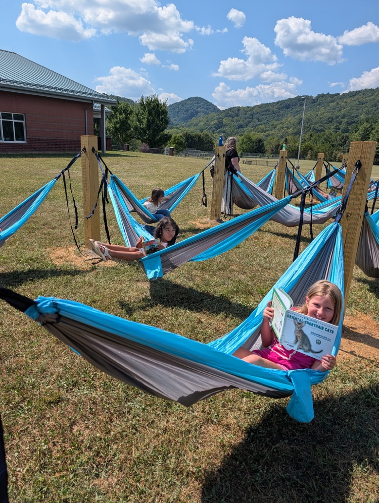 A girl sitting in a hammock holding open an educational book about cats.