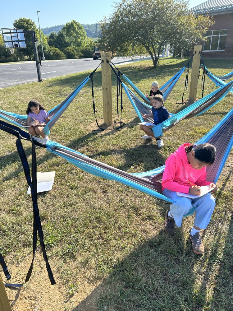 Students sitting in outdoor hammocks writing and working on school assignments.