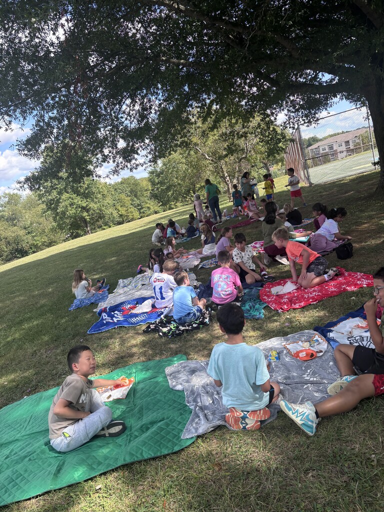 Gr 3 Picnic