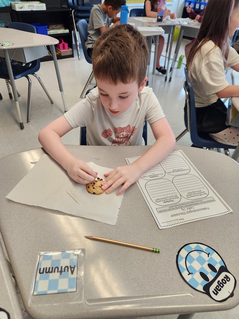 A smiling elementary student sitting at a desk simulating recovering fossils with chocolate chip cookies while following the scientific process
