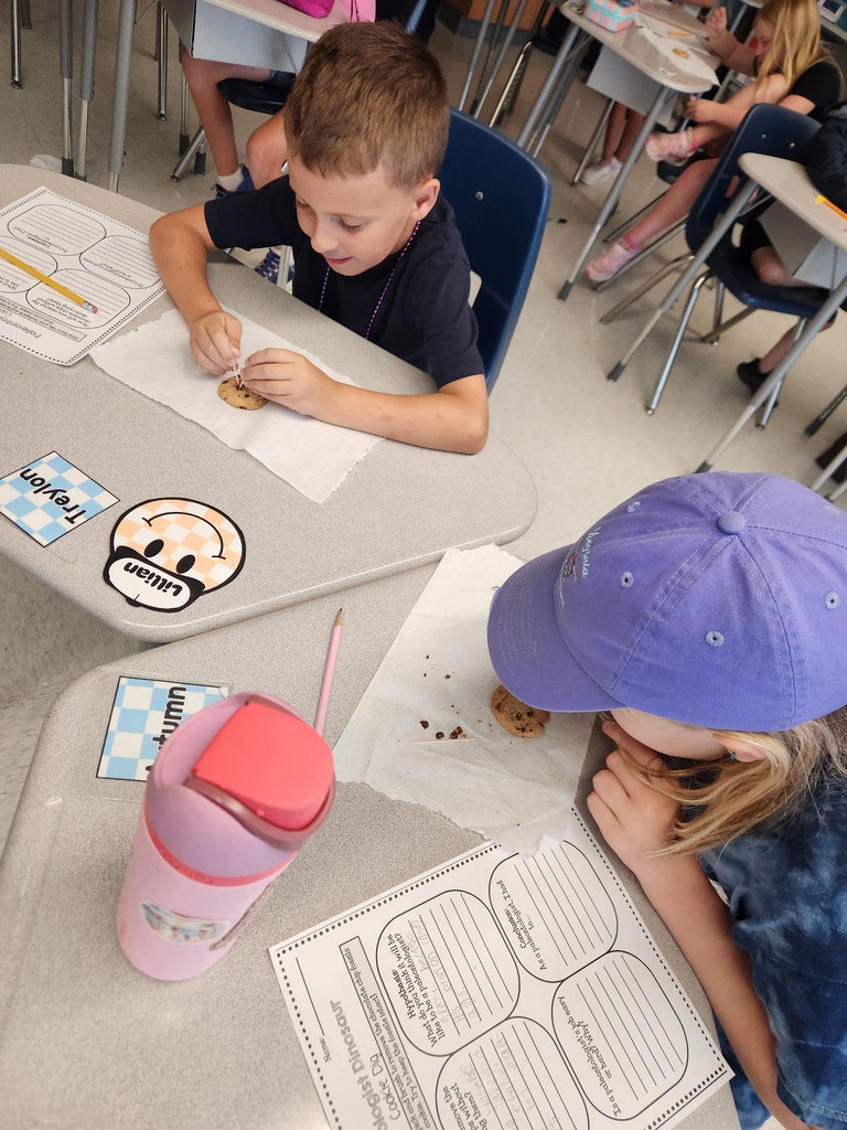 Two focused elementary student sitting at a desk simulating recovering fossils with chocolate chip cookies while following the scientific process