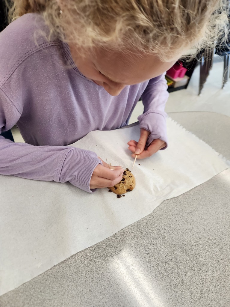 A smiling elementary student sitting at a desk simulating recovering fossils with chocolate chip cookies while following the scientific process