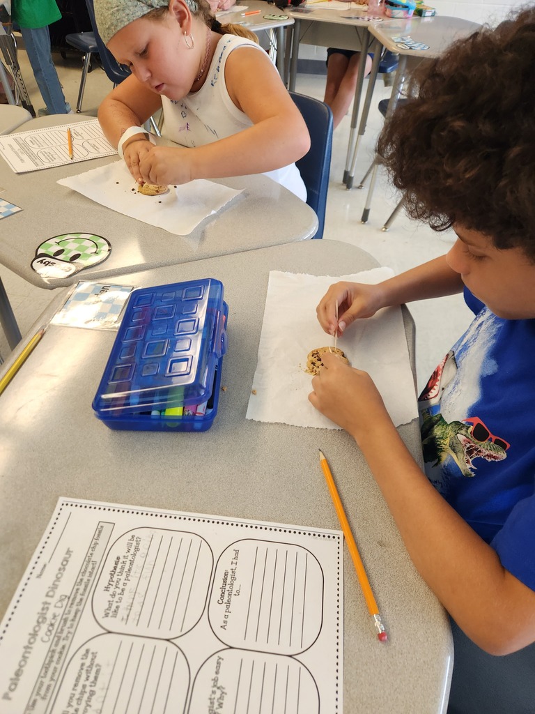 Two focused elementary student sitting at a desk simulating recovering fossils with chocolate chip cookies while following the scientific process