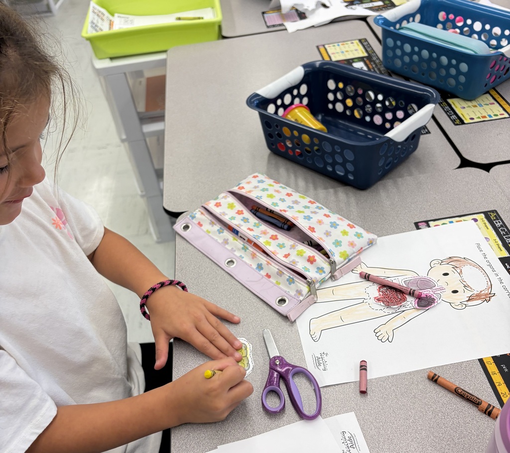 1st grade lesson