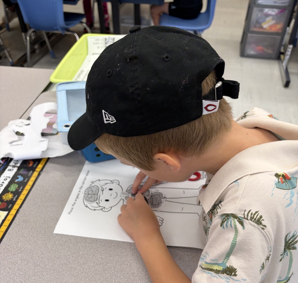 1st grade lesson
