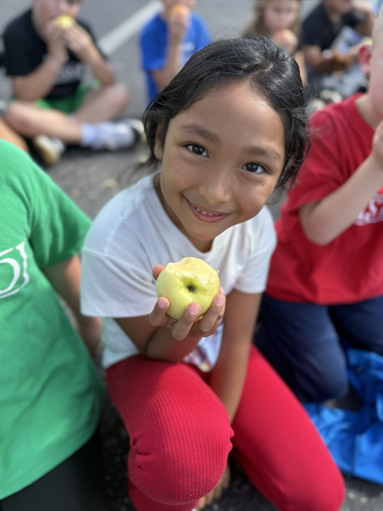 Young child holding an apple.