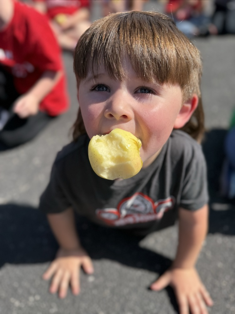 Young child holding an apple.