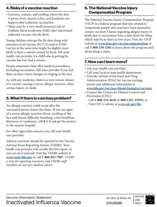 Flu Flyer 2