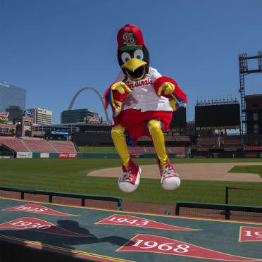 Fredbird