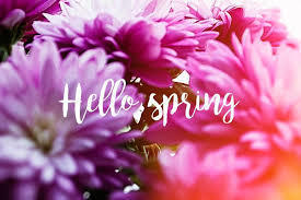 hello spring