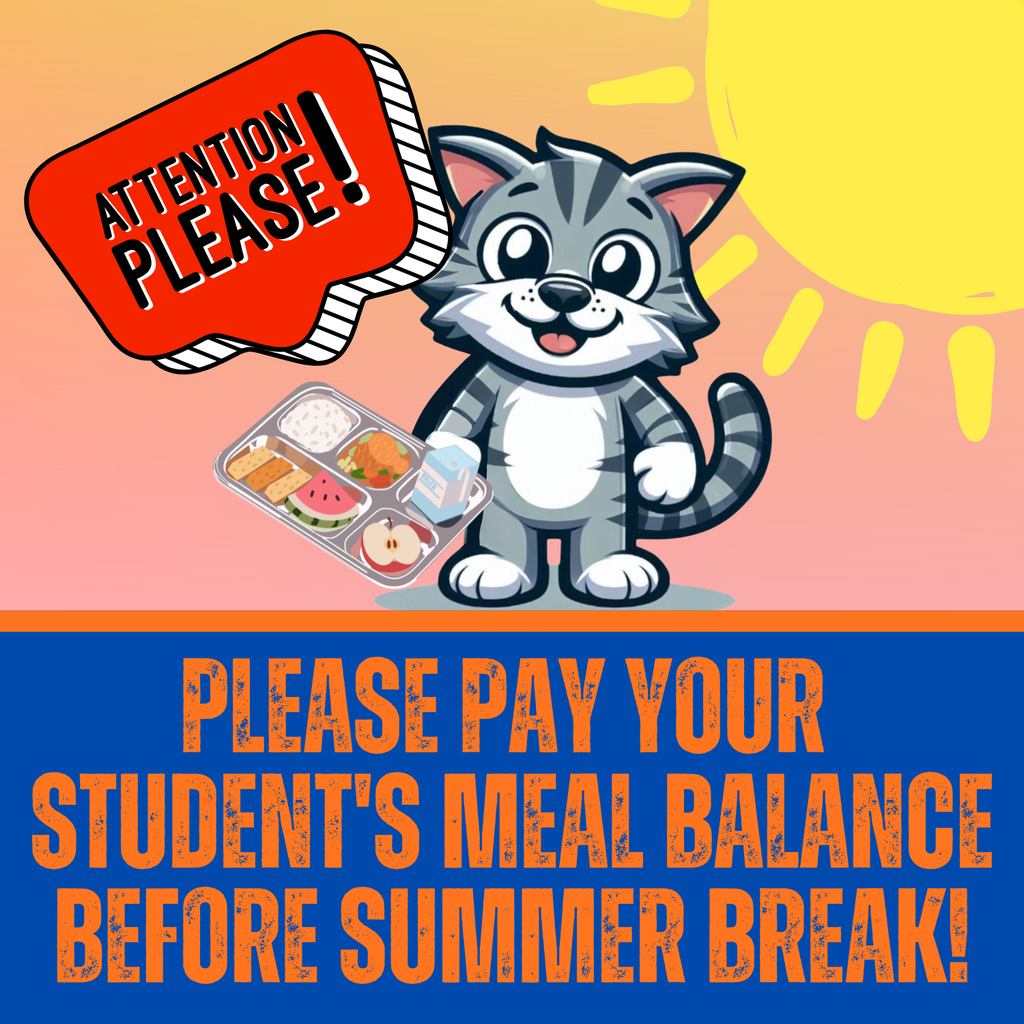 Meal Balances