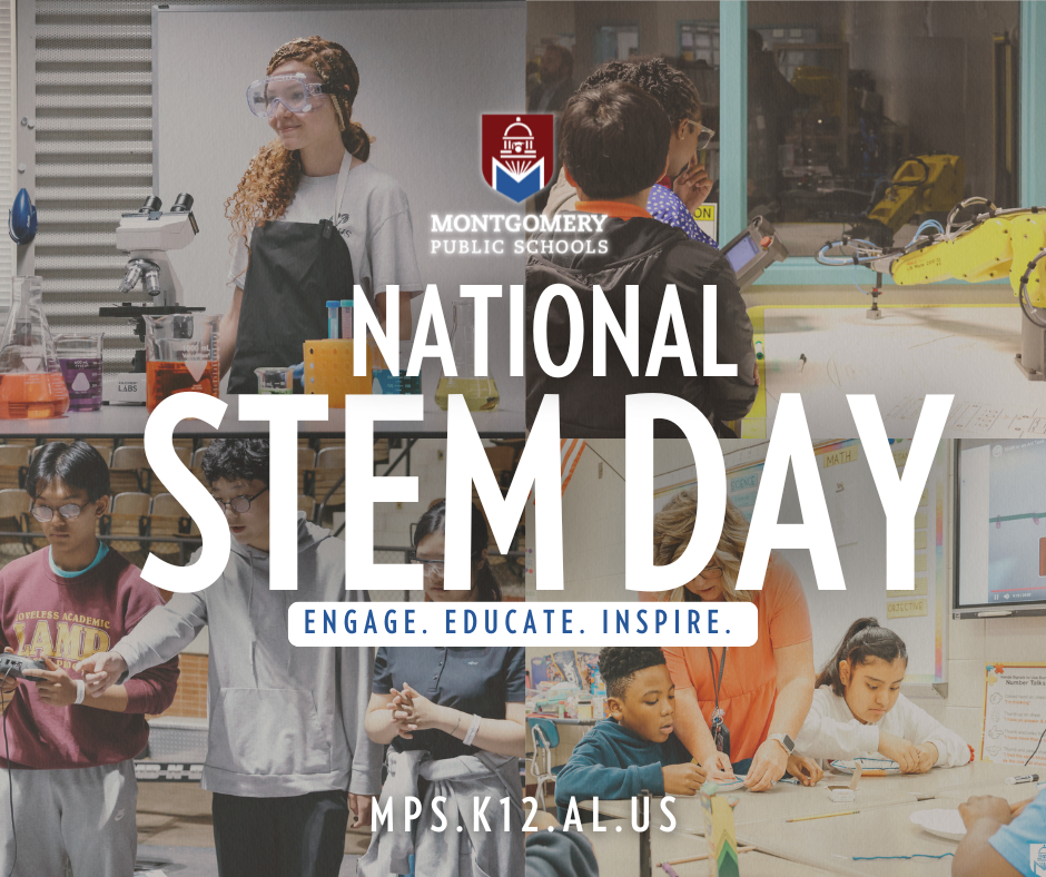 National Stem Day