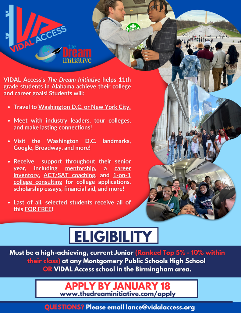 VIDAL ACCESS- The Dream Initiative 