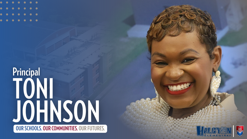 toni johnson