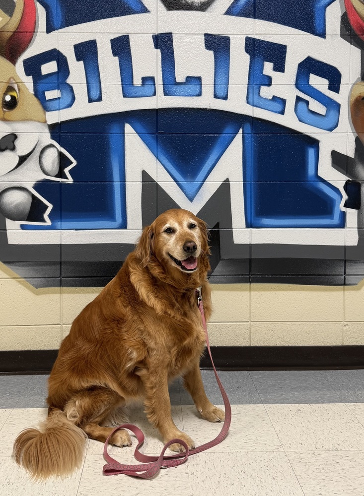dog standing by billies sign