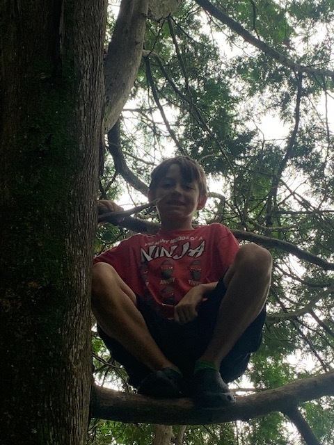 Donald Park