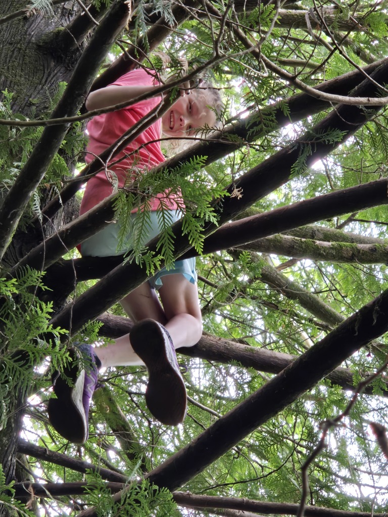 Student in a Tree