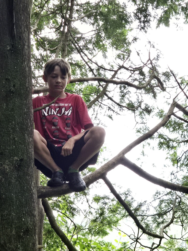 Student in a Tree