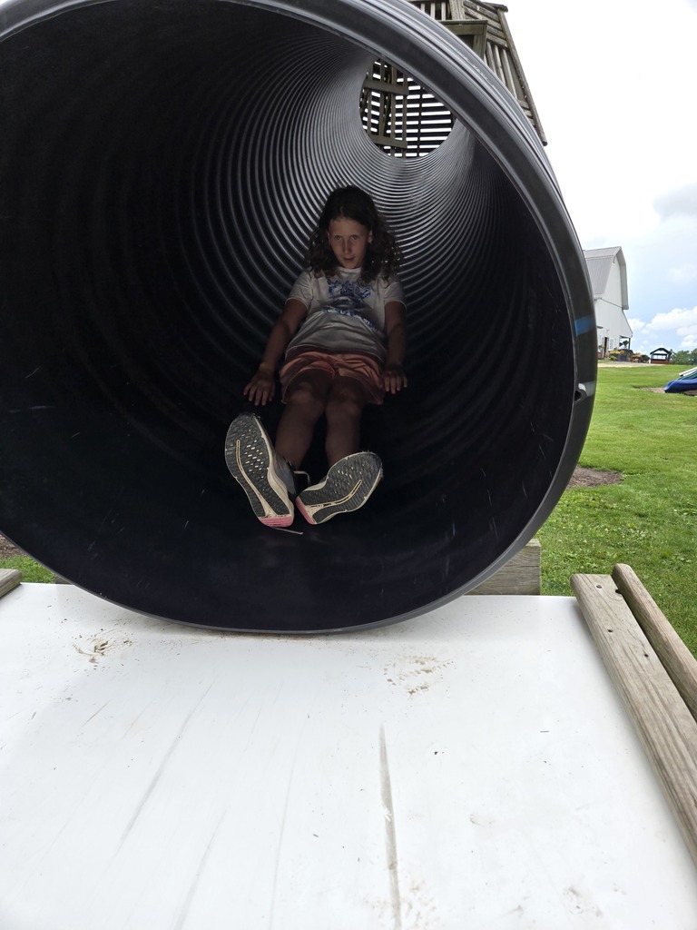 Student Going Down Slide