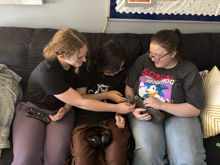 students holding kitten