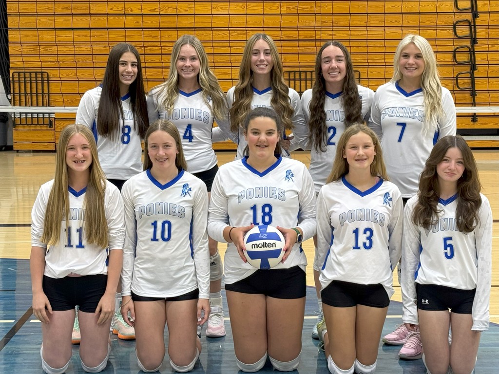 2025 Volleyball Team