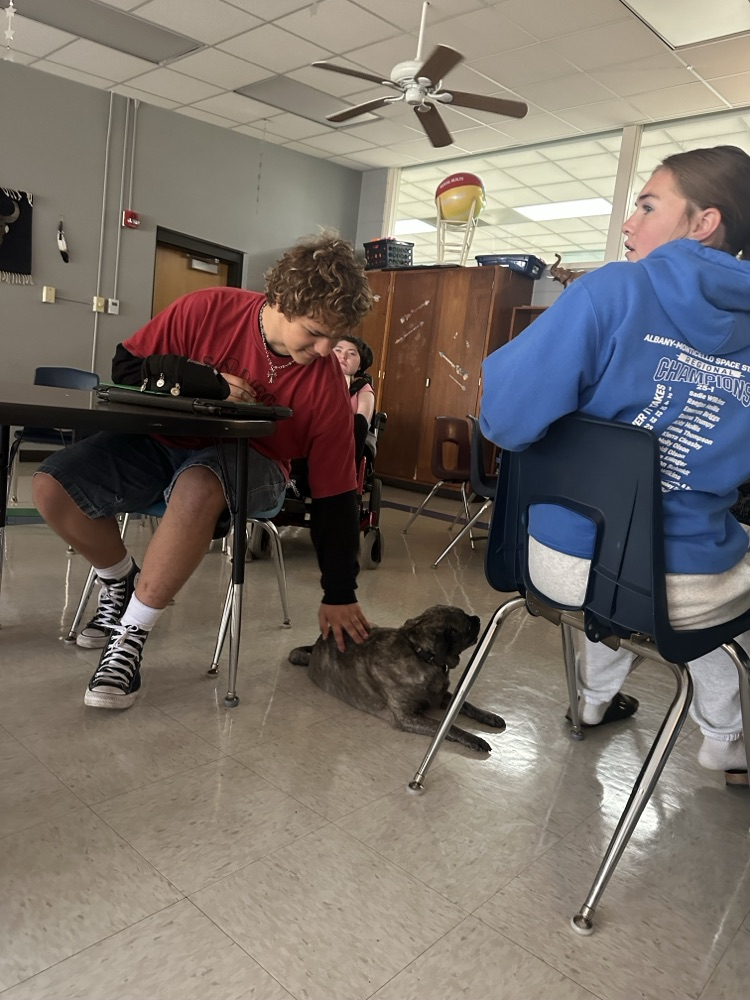 dog with students